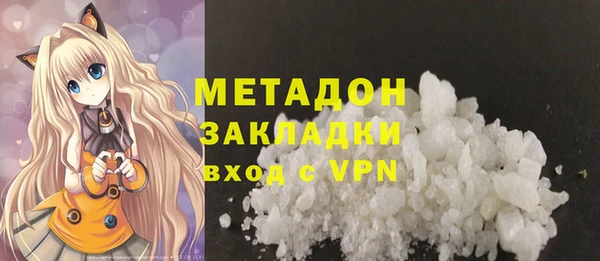 прущие грибы Аркадак