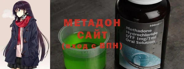 прущие грибы Аркадак