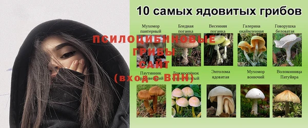 кокс Арсеньев